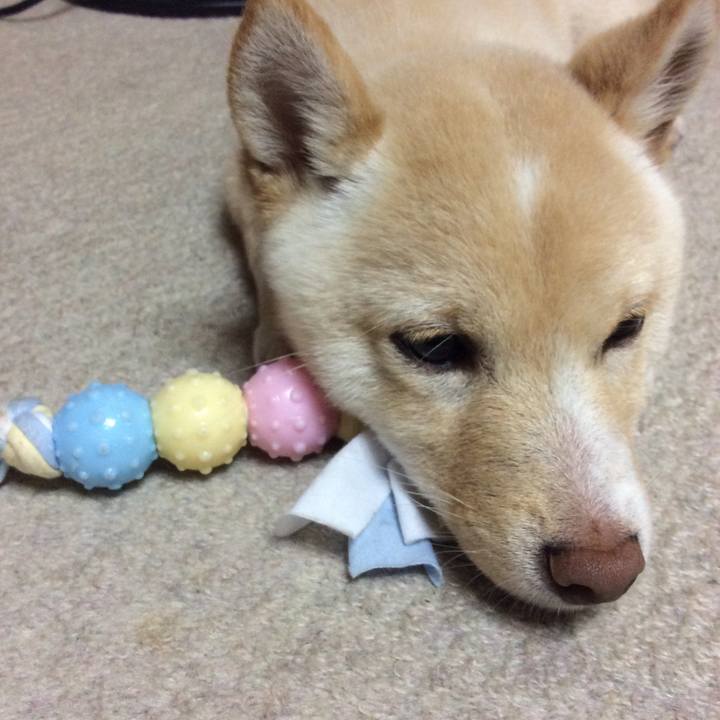 F90fea35 12ee 45ef 85e3 bb3e4dec6611