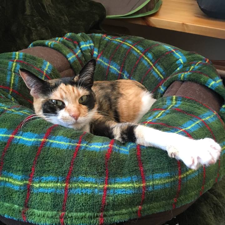 F91049fe b2be 4006 9330 ead51cb63a14