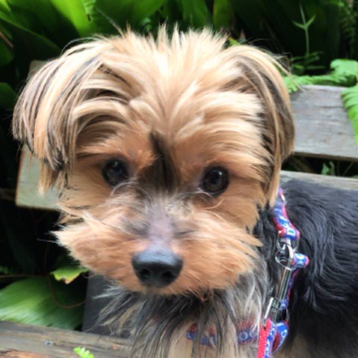 F91076db 75db 45ec 8989 d1b8ca943caa