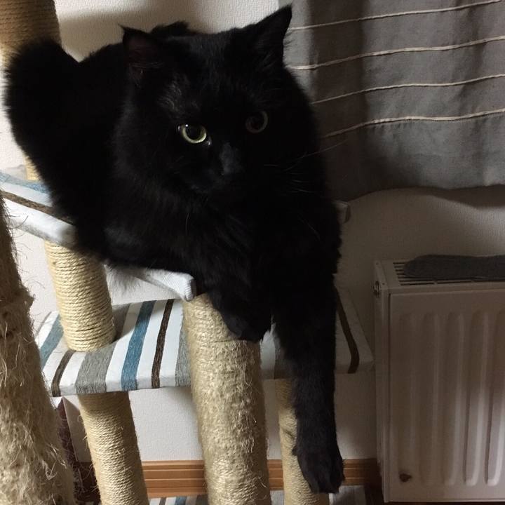 F911c089 c54b 449c 8a65 b6bd4d6dab14