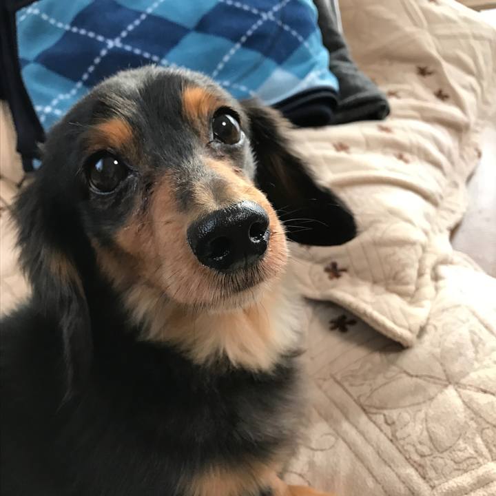 F911ead9 0bef 42c3 9798 558dc94055eb