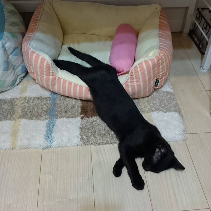 F9124b63 4728 404b a42b 98b66b48750f