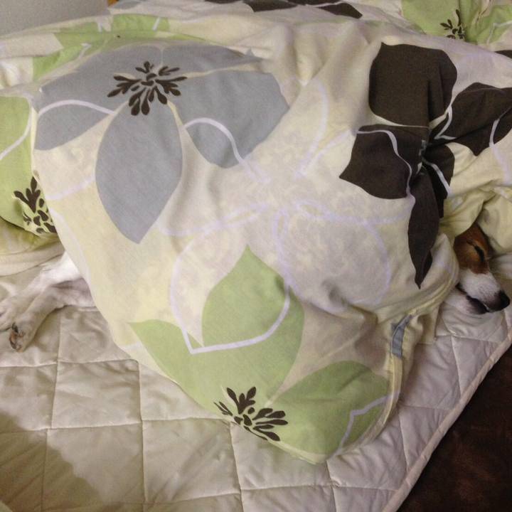 F912f82b 2917 4934 b57d 17f6c37876cd