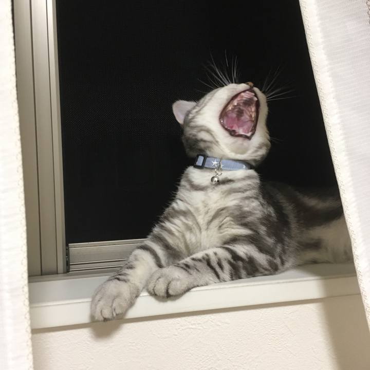 F913580e f678 4da5 a234 af5b4a2b396c