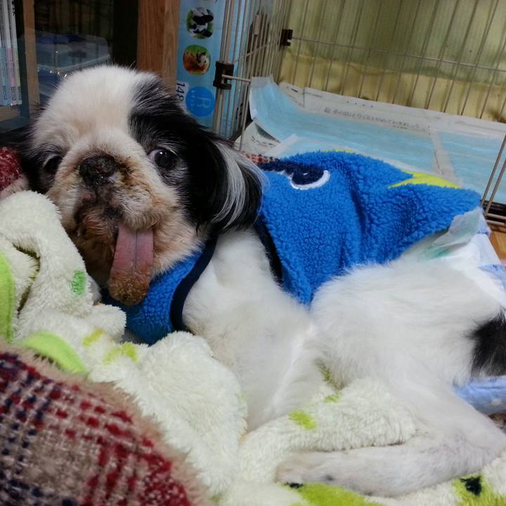 F913595f 8506 4300 b496 ef6a1b3a49c9