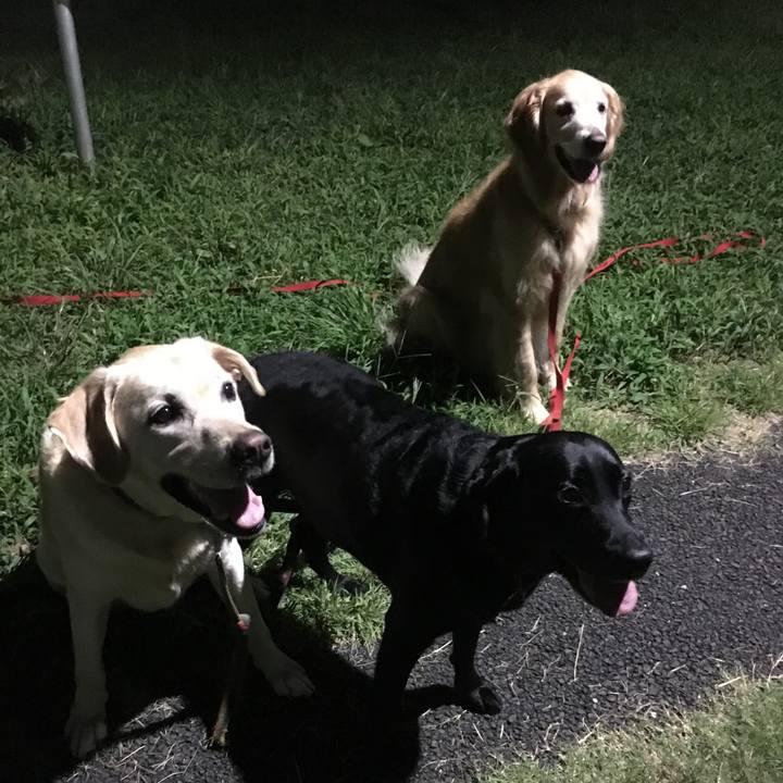 F91383e3 da54 4229 b82e 8baf6a9a9ad0