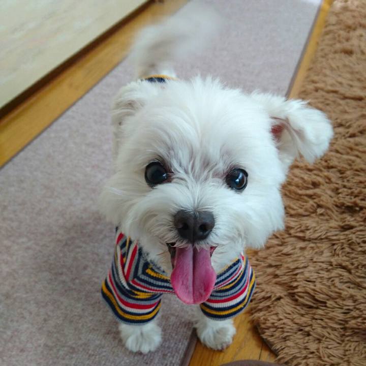 F913d474 b2e9 4535 8f97 ea0b093da390