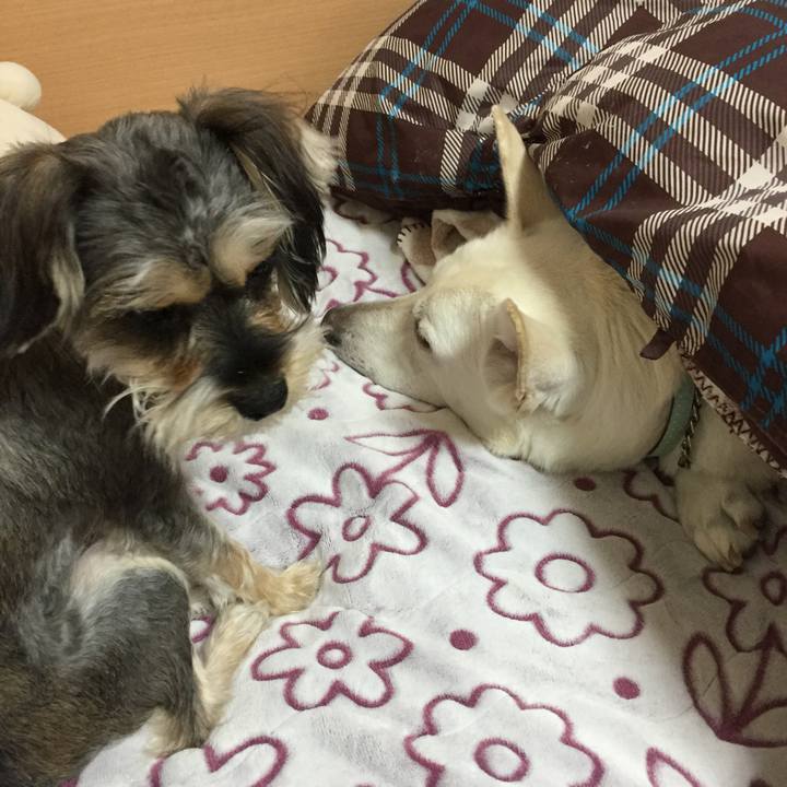 F9140f2f 8f1d 455b affd e9aa1535955b