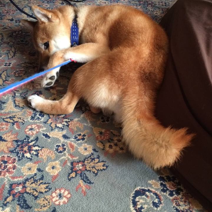 F914397b 0d1c 4bbd b7d9 b3fec32ee4d9