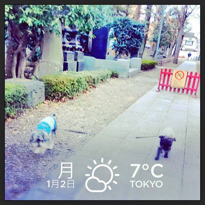 F91464f4 b92a 4345 ae12 60aa24eaf946