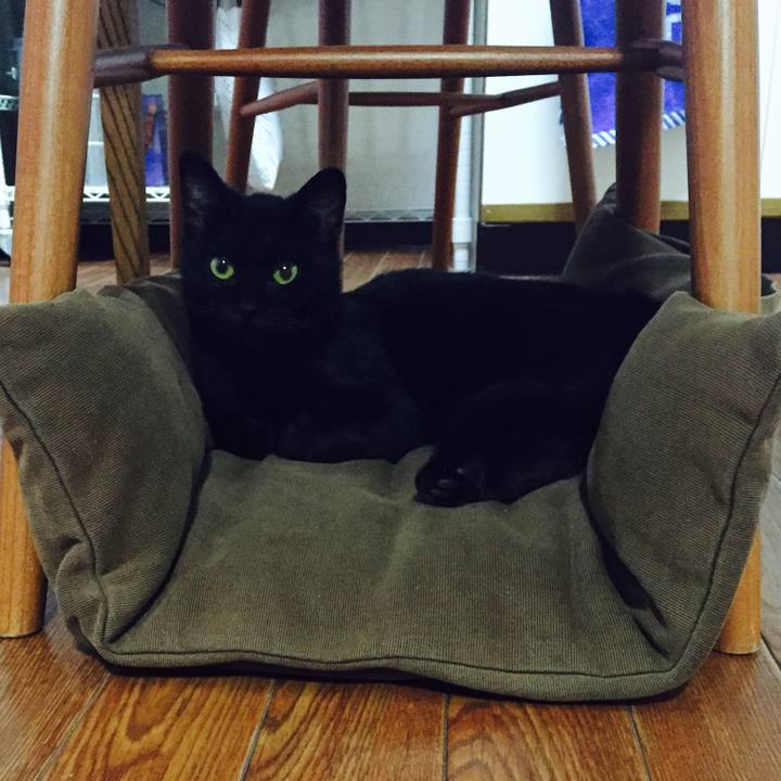 F914f35c 867c 4cfc b4ab 57d8fc554db9