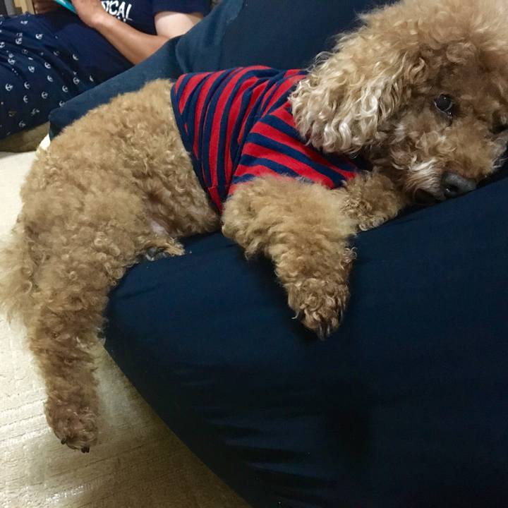 F9156057 a0dd 4ef1 88ce 2e2b8eb8362a