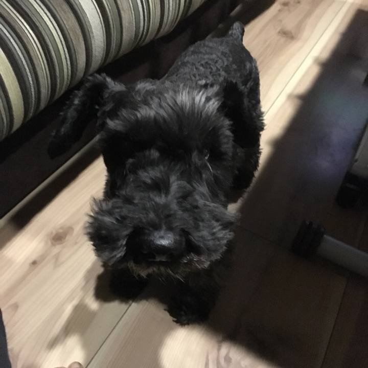 F915843f 1131 40b2 abb5 96dad67bb4aa