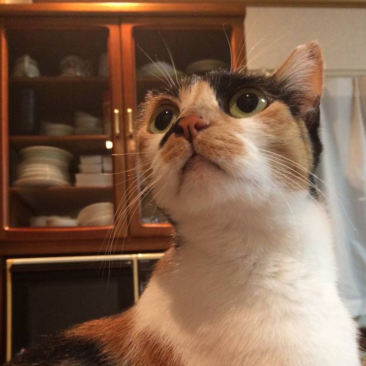 F915ac6d da9c 449f b58b 1ce655e076f3