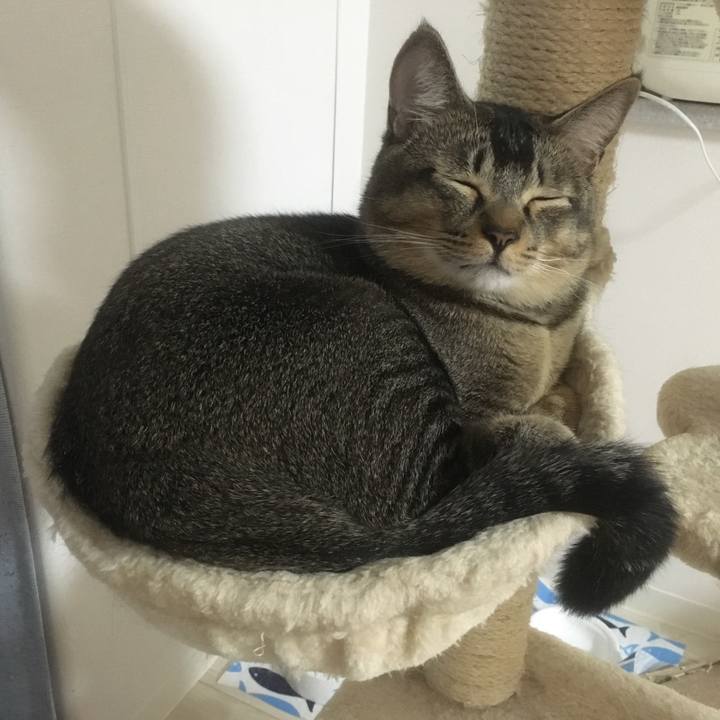 F9161763 e7ba 4de5 8b2a 8142360d242d