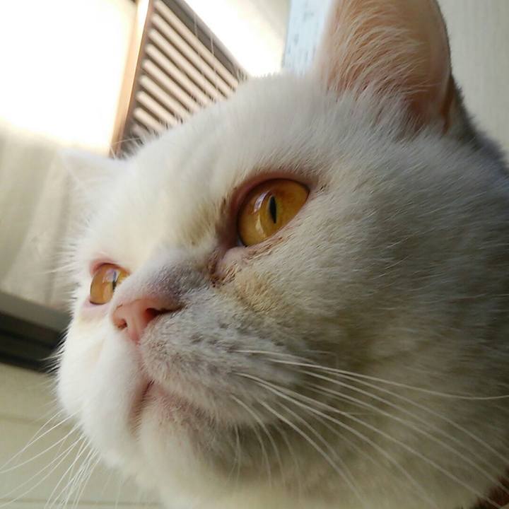 F91622af 2642 46b2 abc5 d95eb62585c7