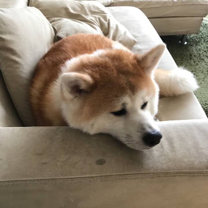 F916e0f3 addc 4218 9789 9e98174b3108