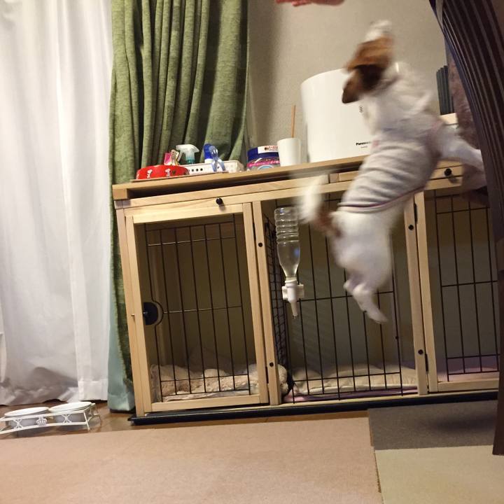 F916f39c 023c 43c9 b219 eedcea48cb2f