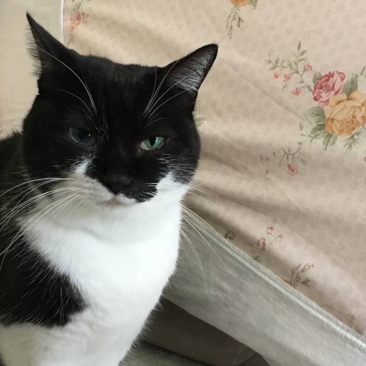 F91726d0 0930 4cb5 ac5b cfc9d61d4ff7