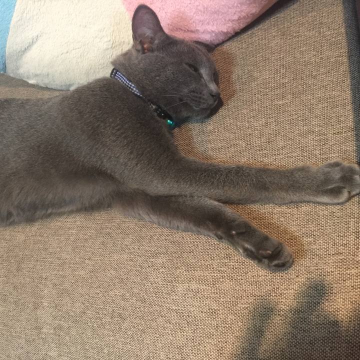 F917a971 047a 4ac7 adac 9ad22dcb98d0