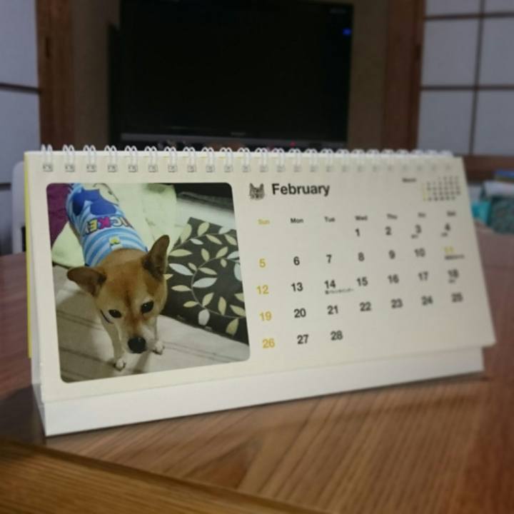 F917c3e1 0e6b 49e5 9bd8 f060845870d3