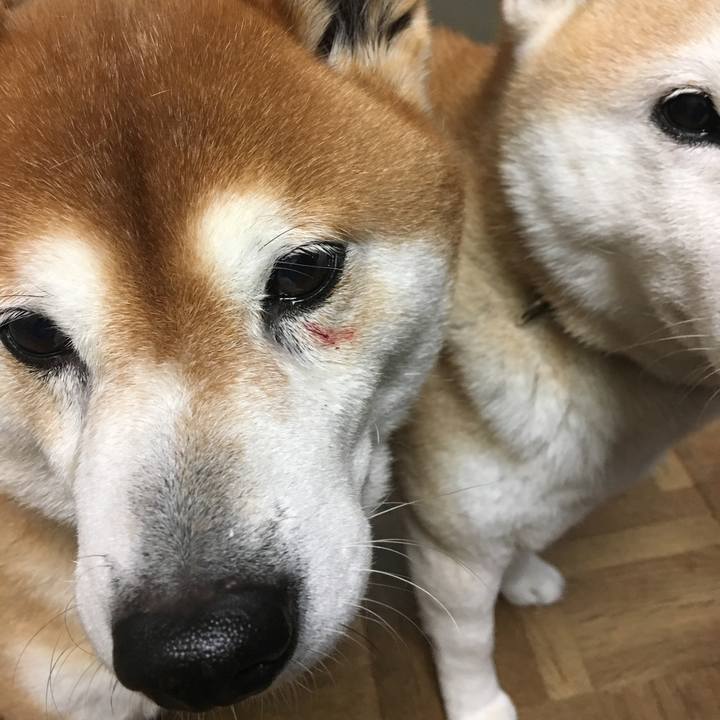 F9186a0d 973a 4106 91d1 676df29cc155