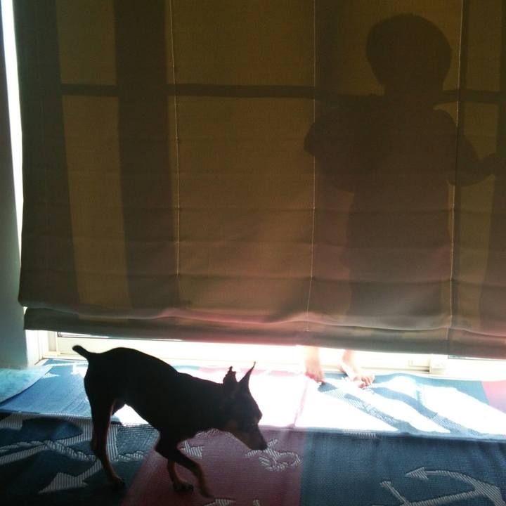 F9189e80 9815 4107 aa2f f7acb3d89a6a