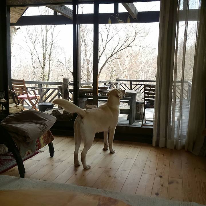 F918b2a1 5647 4667 bcb6 19a87e490126