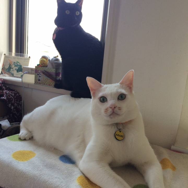 F919184d 3390 40b4 a8ba 9b675fcdad0c