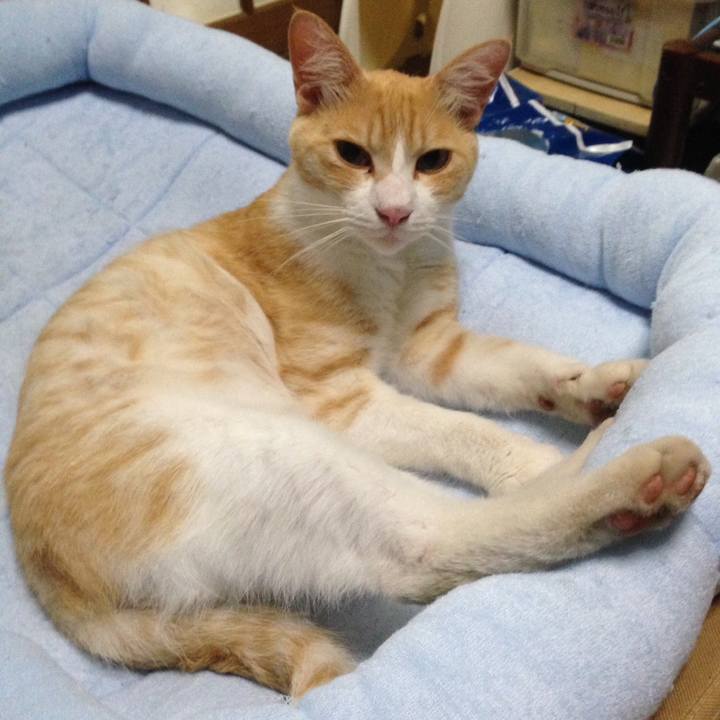 F9197387 896f 4f0a abbf 923e88bb0388