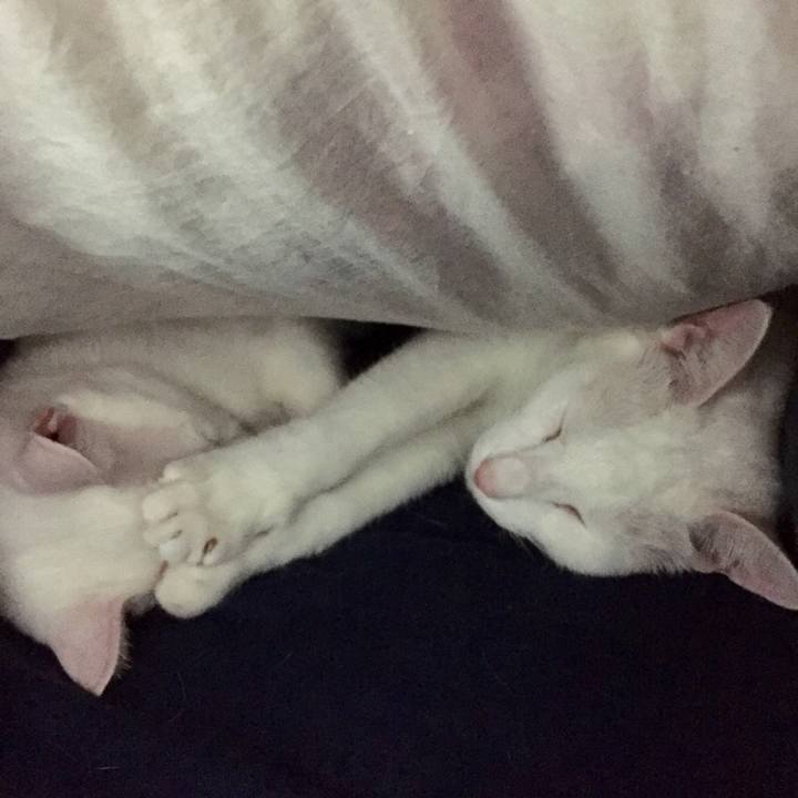 F91a02f8 70bb 4d4f b254 a0c10b31db3b