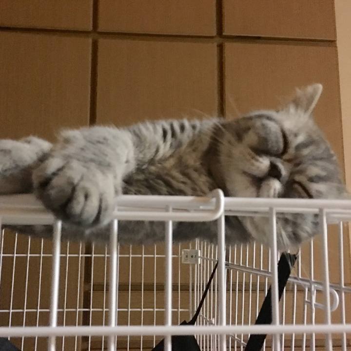 F91b08cb b9ca 41b0 ac72 8edcf5735984