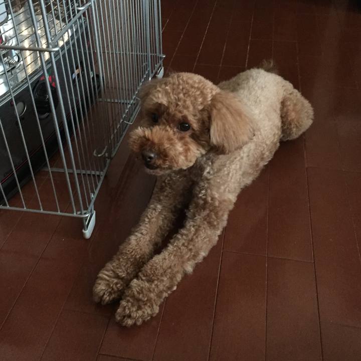 F91b1588 9ad9 40a2 bc8c 268494974e5f