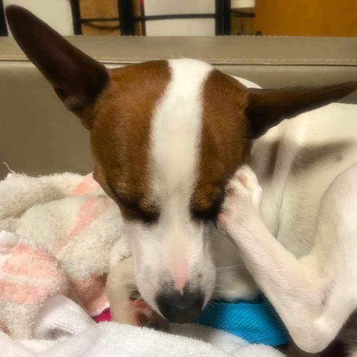 F91b55f9 8d4a 436a a363 a3053f637110