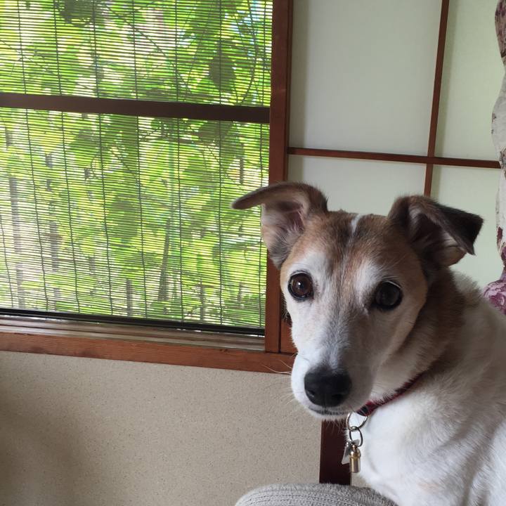 F91b6926 1a8f 4b54 aead d1d966bbdd62