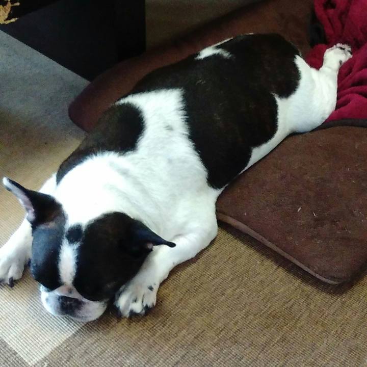 F91b7457 40ac 49ab 9cfc f11d1f37de83