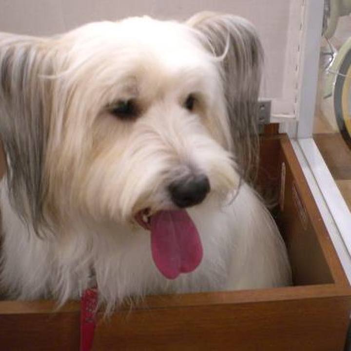 F91bb91e e987 4878 b379 b1382563f540