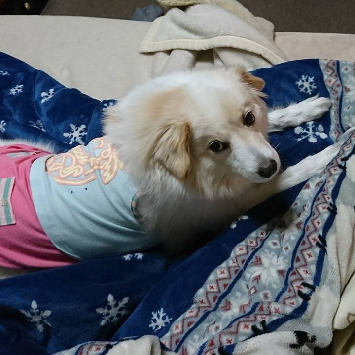 F91bf01b 5b67 438d 9687 29a27c27844a