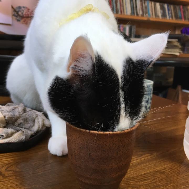 F91c6248 fbde 4e43 bb12 236c91be9cc0