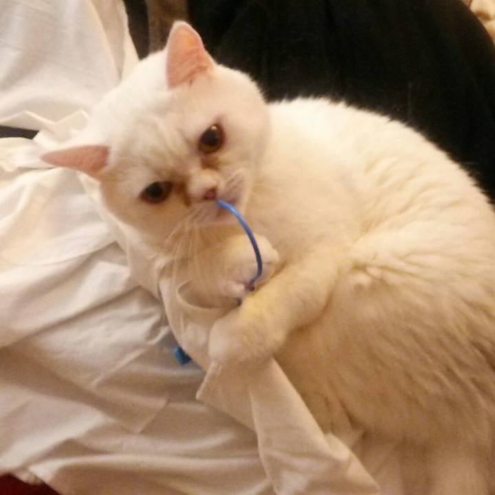 F91c7df3 d9df 4622 a1ff e8a910595429