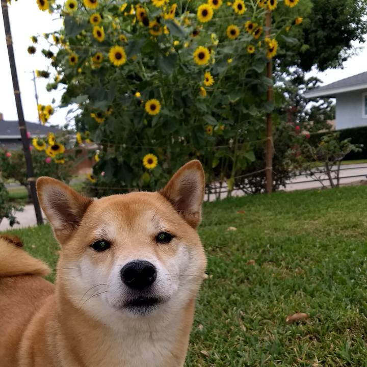 F91c8cd5 0b04 4166 9c6f 09fb76405582