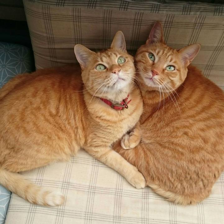 F91cbac2 e820 420a 971d 7a55eaf4551b