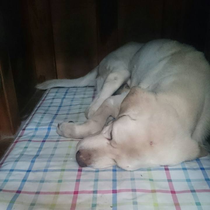 F91d0690 a37c 4a51 8245 e336c16505d3