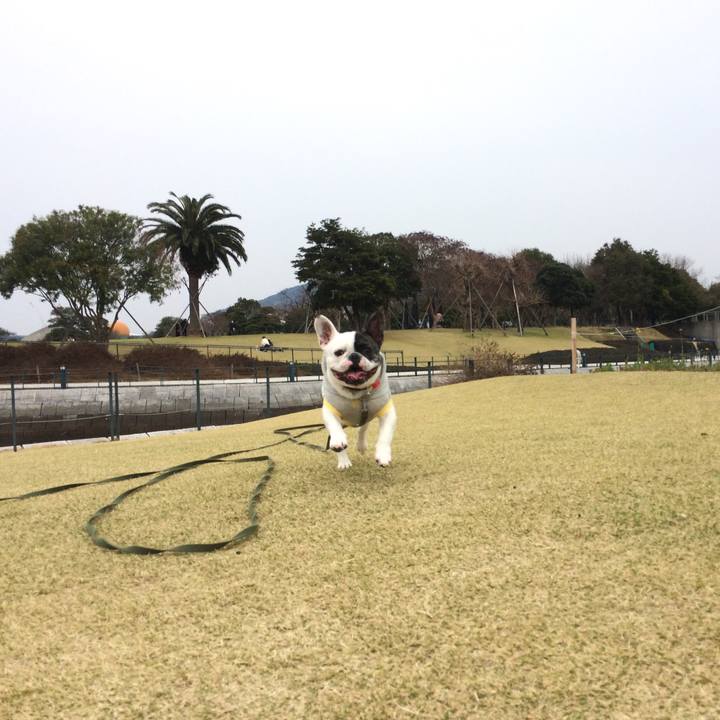 F91d4823 e167 48ff 92ea 732b12b8fd66