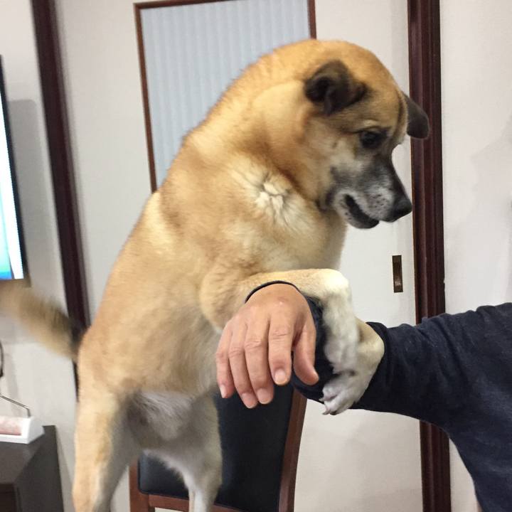 F91d8ace baa9 4ae7 b5b7 50f30c13a8dd