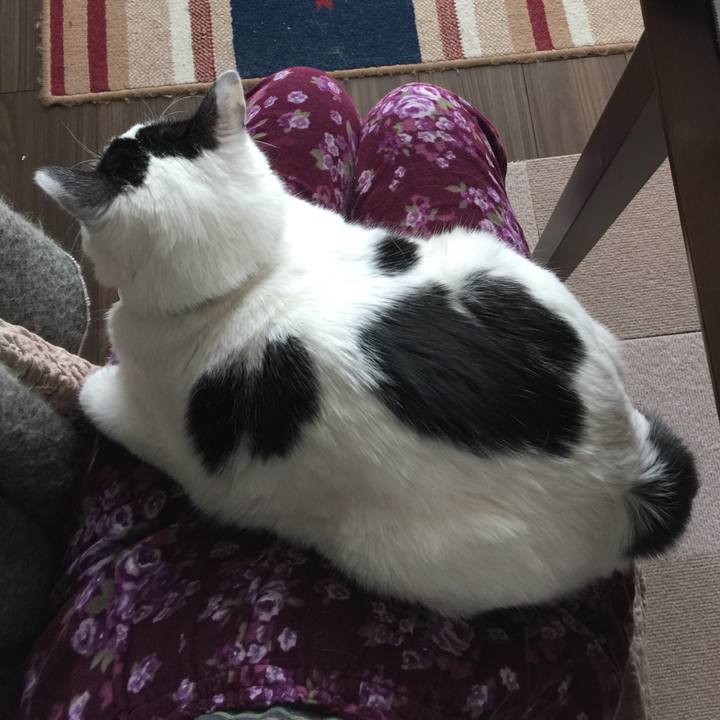 F91e8d41 3be6 4c3a 9631 ff70f4553415