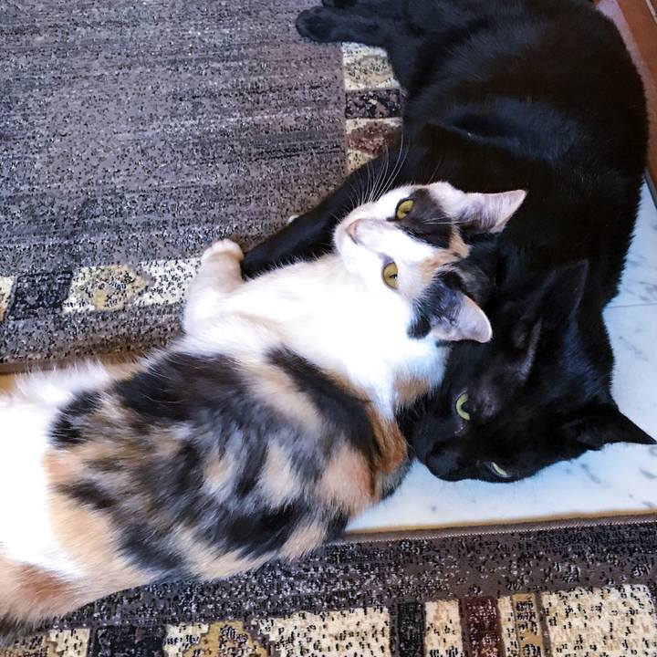 F91eaa51 f750 4160 b23e a66023940c13