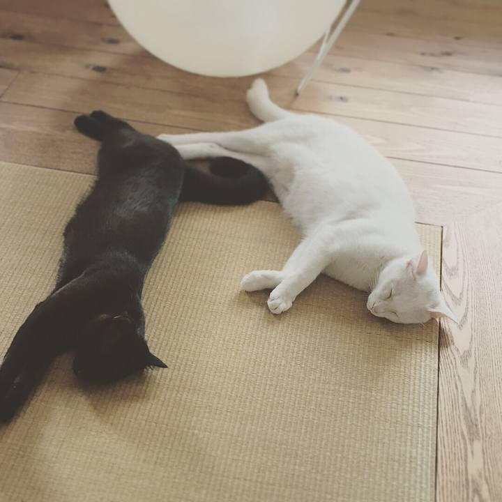 F91f4131 6656 42fb 95f9 a4a4ccd2b59e