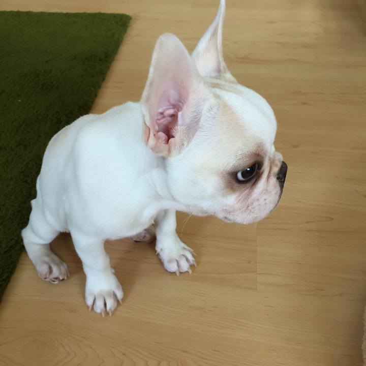 F92000e4 f140 4357 a7d2 b7d30368bc14