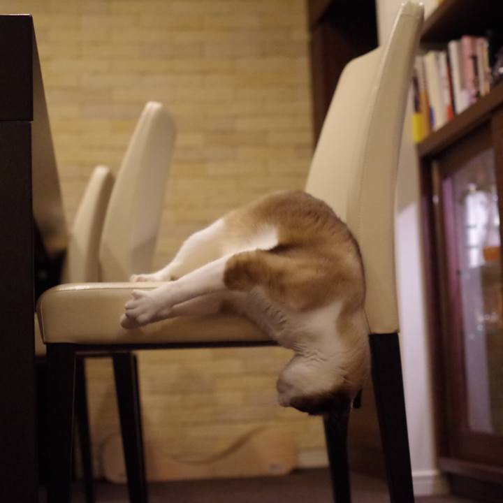 F9202b0d 3d5c 48f0 bbf2 cea175b58cf2